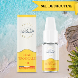 ROYKIN - L'eau tropicale 10ml sel de nicotine