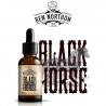Black Horse Ben Norton